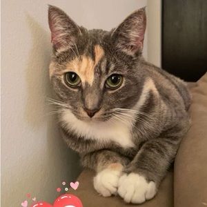 Meet your Posher, Ray